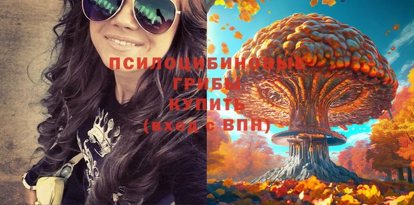 метадон Коряжма