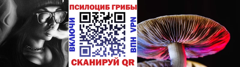 Галлюциногенные грибы мухоморы  Купить  Саров 